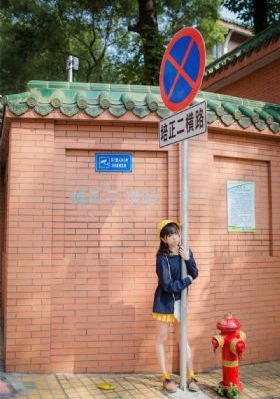 无码AV岛国片在线观看手机_HD高清完整版播放